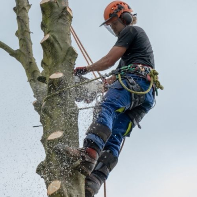 Amplio Training *FAA Level  3 Forestry First Aid course.